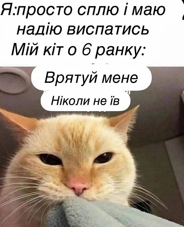 Баба і Кіт на we.ua
