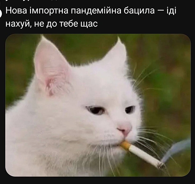 Баба і Кіт на we.ua