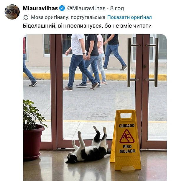 Баба і Кіт на we.ua