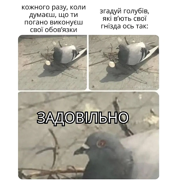 on we.ua