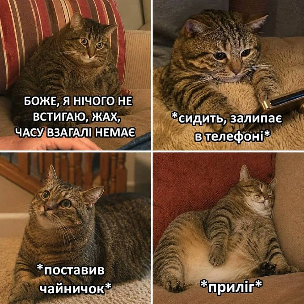 on we.ua