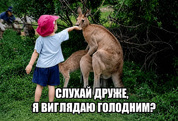 Кардинальний Рішельє on we.ua