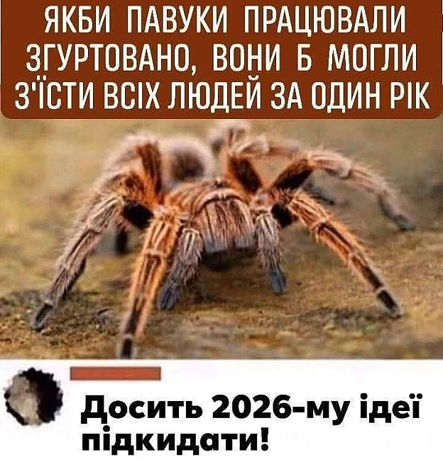 on we.ua