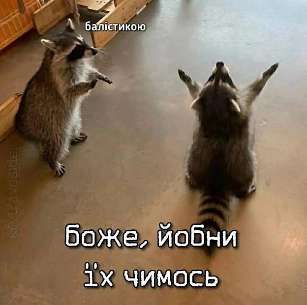 Раночку!Ви як?#хзчиймем@memargam - на we.ua