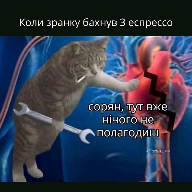 💀TG | X | FB | Instahttps://instagram.com/wtf_ukr/ - на we.ua