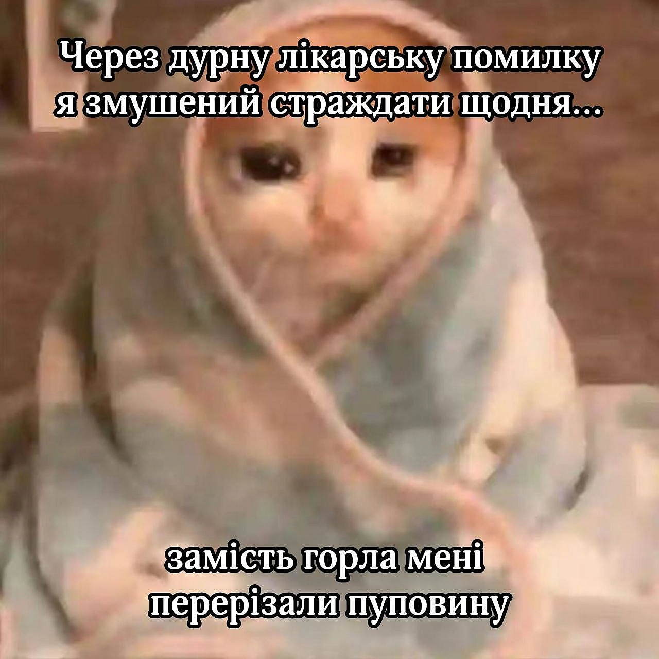 на we.ua