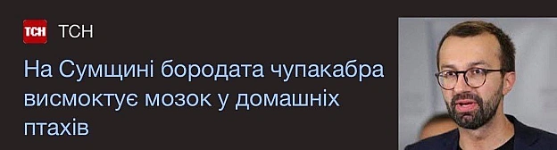 Баба і Кіт on we.ua