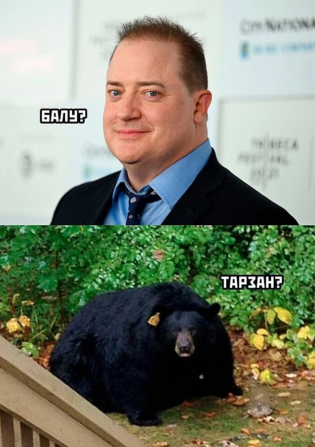 на we.ua
