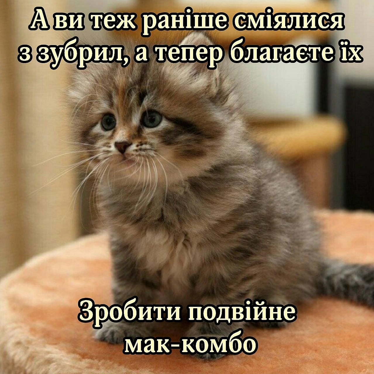 на we.ua