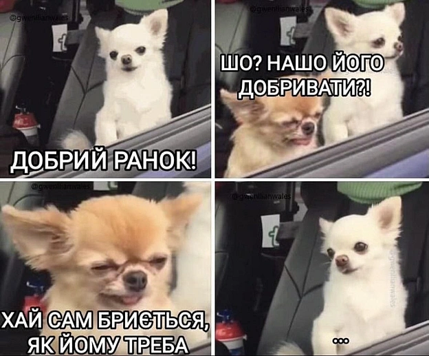на we.ua