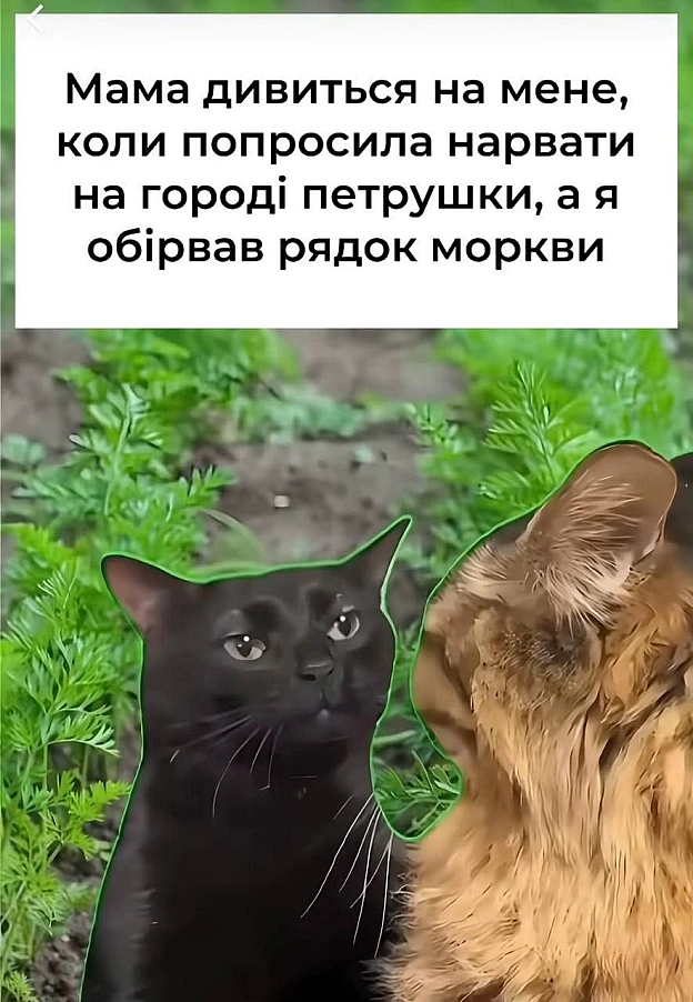 on we.ua