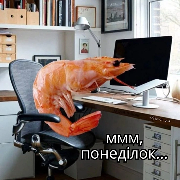 TG | X | FB | Instahttps://instagram.com/wtf_ukr/ - на we.ua