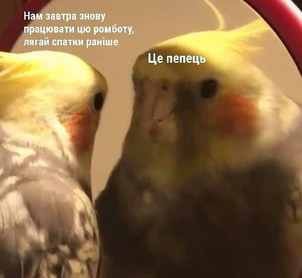 Добраніч!#хзчиймем@memargam - на we.ua