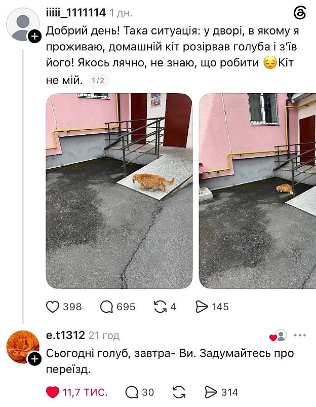 на we.ua
