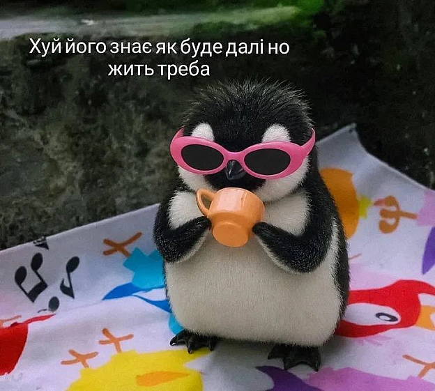 Доброго ранку!#хзчиймем@memargam - на we.ua
