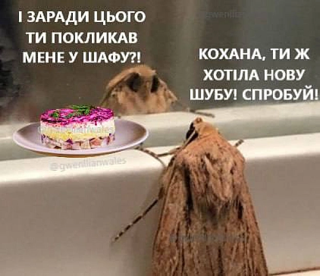 Вічно все плутають@memargam - на we.ua
