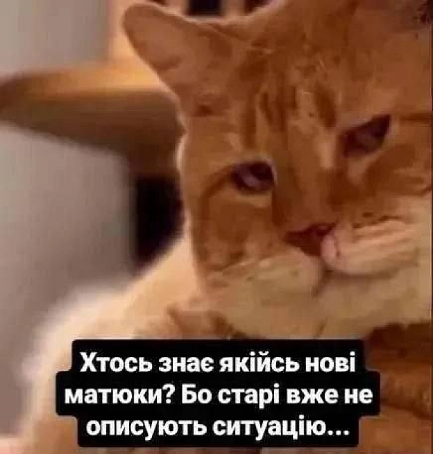 на we.ua