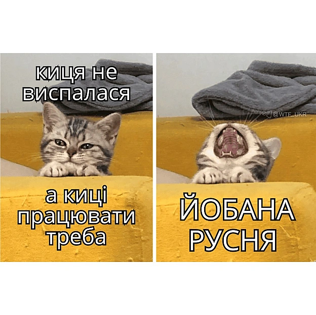 💀TG | X | FB | Instahttps://instagram.com/wtf_ukr/ - WTF! на we.ua