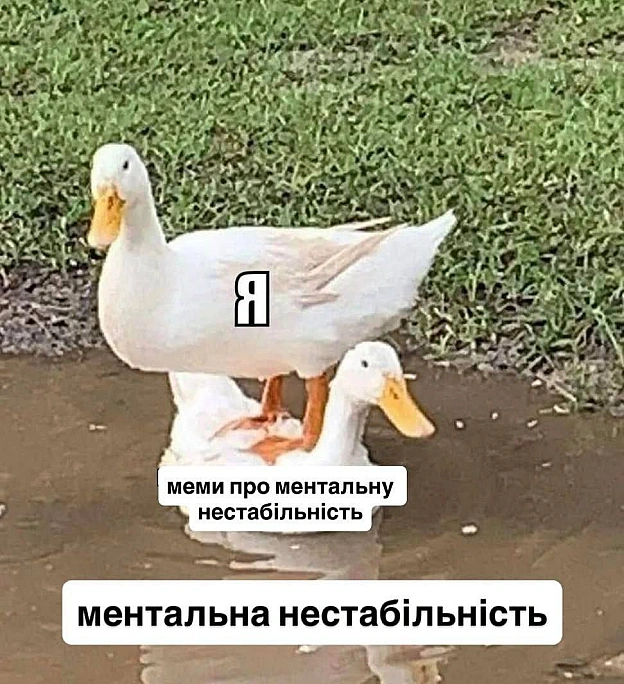 Баба і Кіт on we.ua