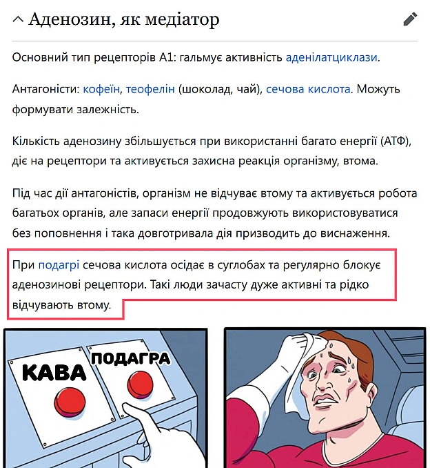А зараз цікавий факт, про який ви не просили 🤓 - Хтивий Програміст on we.ua