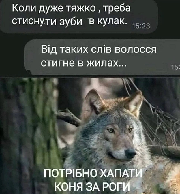 на we.ua