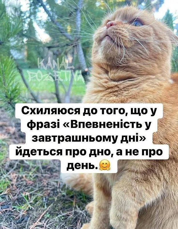 Доброго ранку!#хзчиймем@memargam - на we.ua