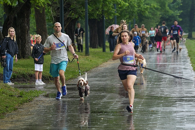 🏃‍♂️ У Києві відбувся благодійний забіг «Go to the Future 2026»Столичний Урбан-парк на ВДНГ об\'єднав сотні киян, військових та... - на we.ua