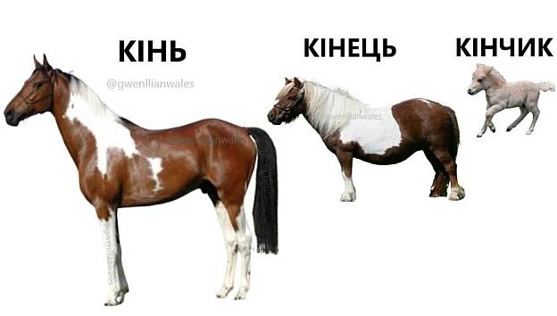 Від творців щур-пращур-прапращур(c) @gwenllianwales@memargam - на we.ua