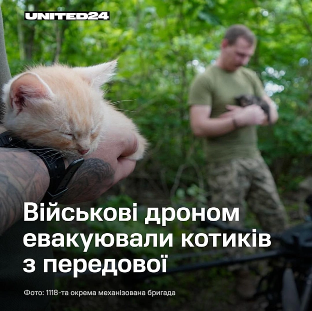 Пілоти мотопіхотного батальйону 118-ї окремої механізованої бригади провели унікальну гуманітарну місію під кодовою назвою «Мяу-... - на we.ua