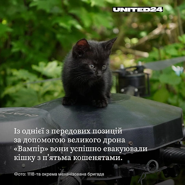 Пілоти мотопіхотного батальйону 118-ї окремої механізованої бригади провели унікальну гуманітарну місію під кодовою назвою «Мяу-... - на we.ua