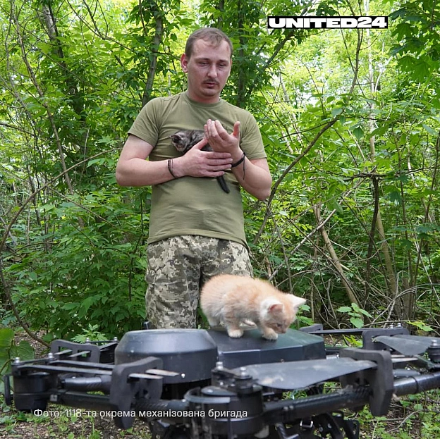 Пілоти мотопіхотного батальйону 118-ї окремої механізованої бригади провели унікальну гуманітарну місію під кодовою назвою «Мяу-... - на we.ua