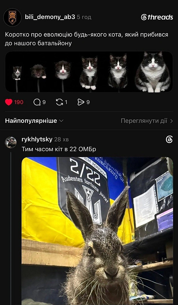 на we.ua