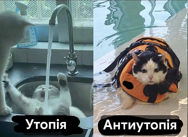 на we.ua