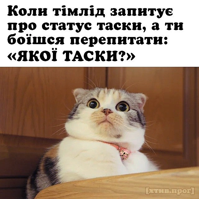 Пу-пу-пууу 😅 - Хтивий Програміст on we.ua