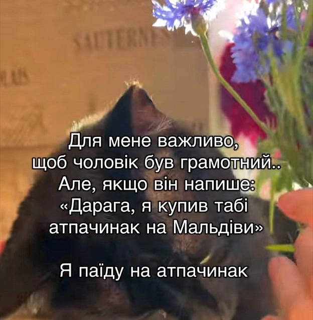 Баба і Кіт on we.ua