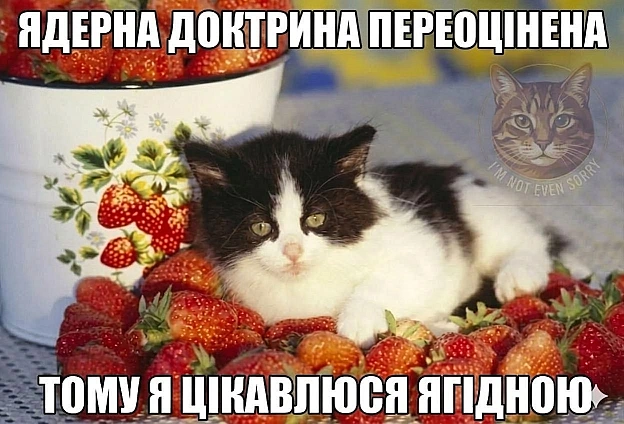 Баба і Кіт on we.ua