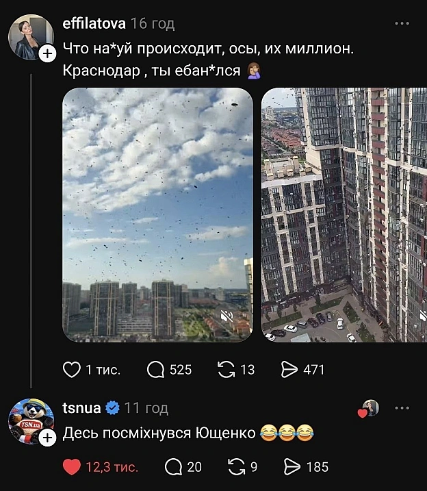 Баба і Кіт on we.ua