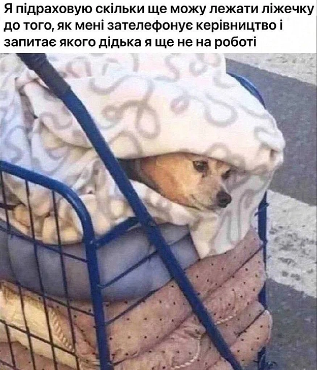 Доброго ранку#хзчиймем@memargam - на we.ua