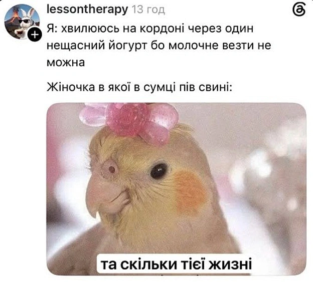 Хто не ризикує, той не провезе пів свині@memargam - МЕМАГРАМ на we.ua