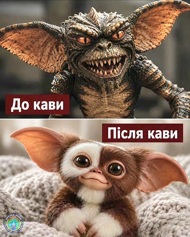 на we.ua