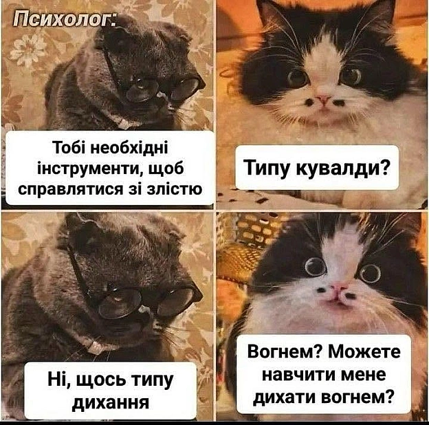 🔥#хзчиймем@memargam - МЕМАГРАМ на we.ua