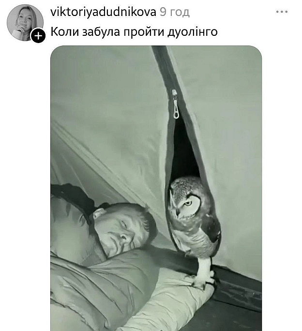 Може це з ГУР завітали@memargam - на we.ua