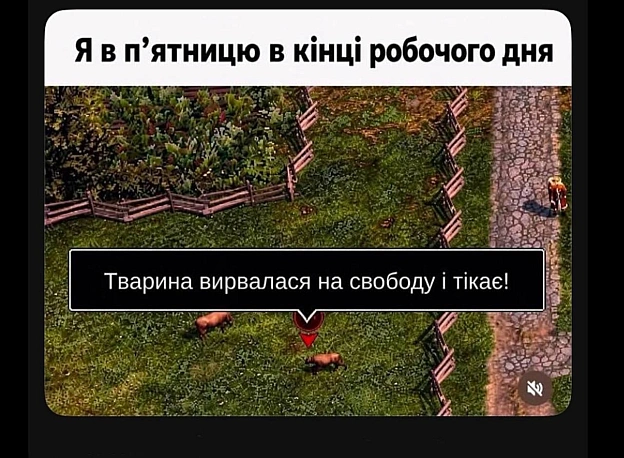 на we.ua