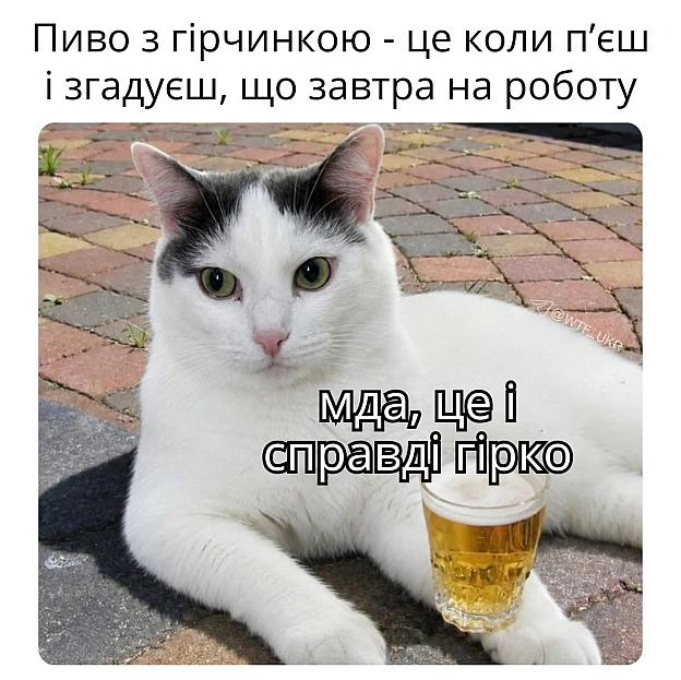 💀TG | X | FB | Instahttps://instagram.com/wtf_ukr/ - WTF! на we.ua