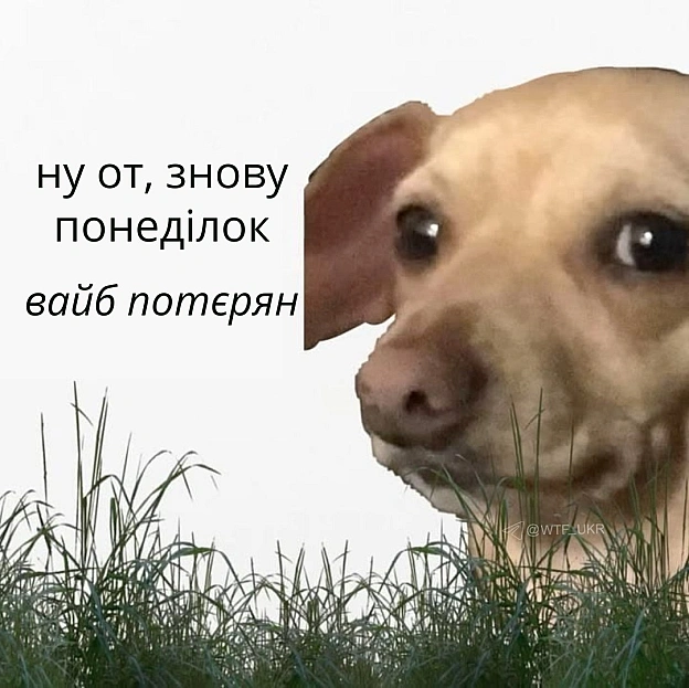Раночку💀TG | X | FB | Instahttps://instagram.com/wtf_ukr/ - WTF! на we.ua
