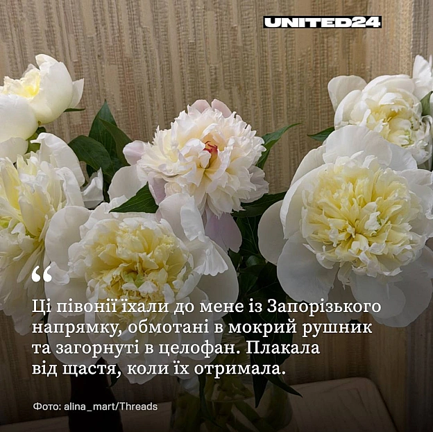Український військовий надіслав поштою коханій дівчині квіти з Харківщини. Вона поділилася фото букета у Threads, а у відповідь ... - on we.ua