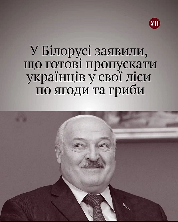 Кому білих грибів? - на we.ua