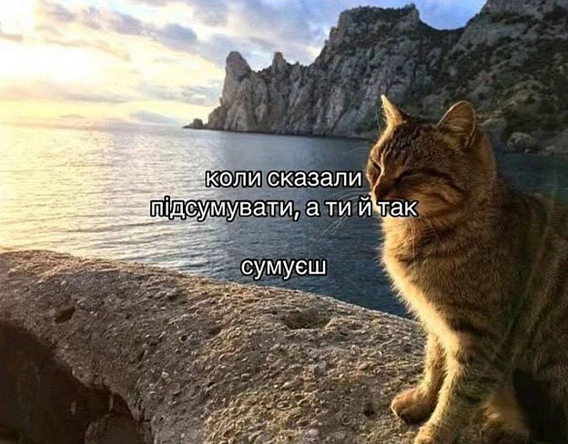 Не сумуйте#хзчиймем@memargam - на we.ua