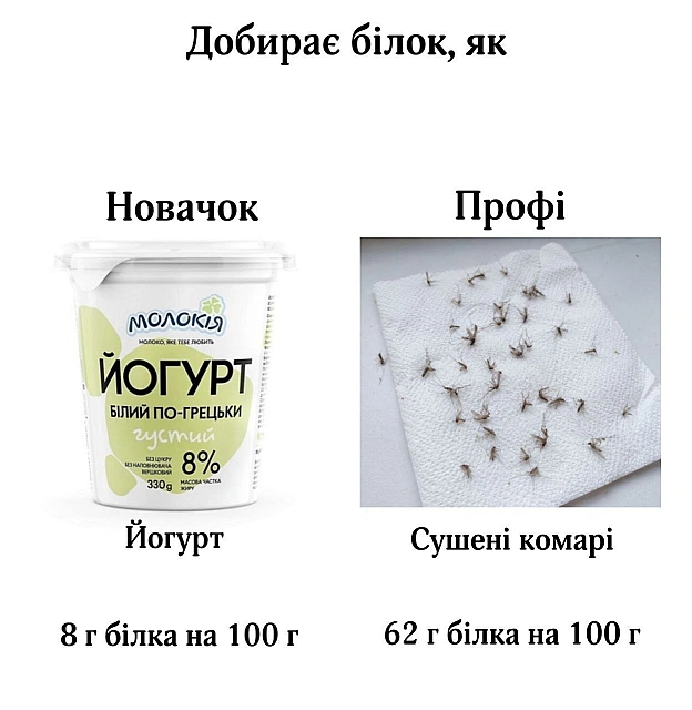 on we.ua