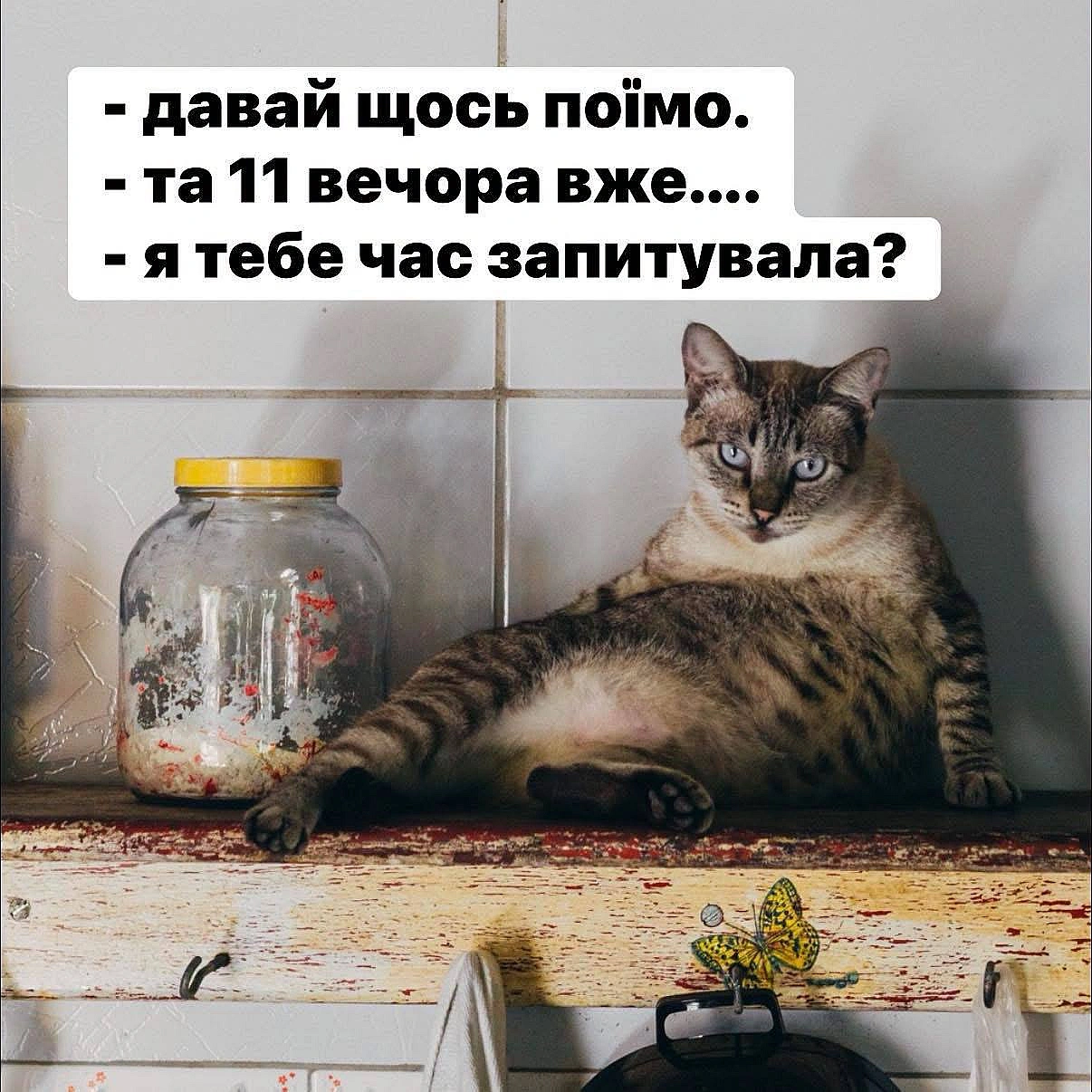 Добраніч!#хзчиймем@memargam - on we.ua